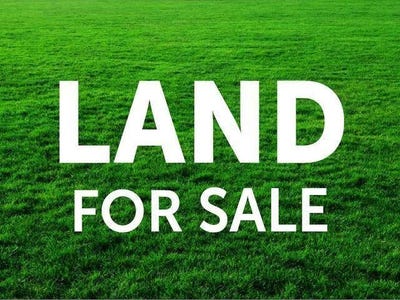 /international/nz/pukekohe-franklin-380066081023/