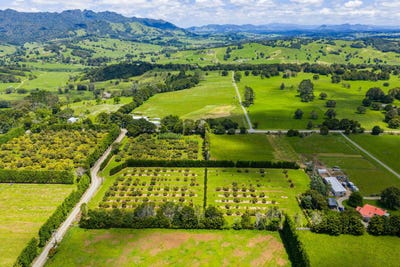 /international/nz/146-bint-road-maungakaramea-whangarei-380066083178/