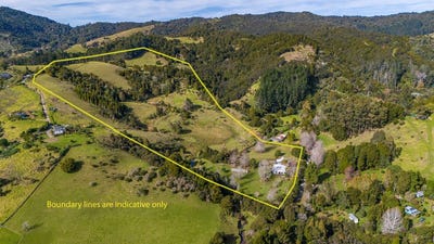 /international/nz/45-shepherd-road-peria-far-north-380066109457/