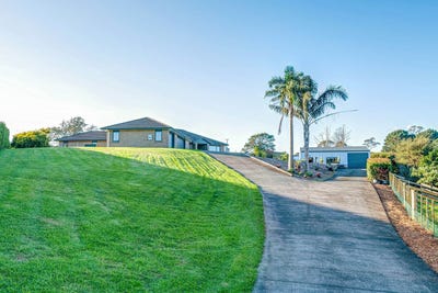 /international/nz/waimauku-rodney-380066174470/