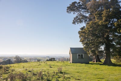 /international/nz/613-blackburn-road-ongaonga-central-hawkes-bay-380066080813/