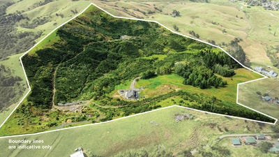 /international/nz/helensville-rodney-380066095293/