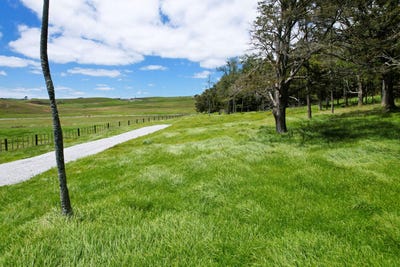 /international/nz/35-sills-road-dargaville-kaipara-380066084914/