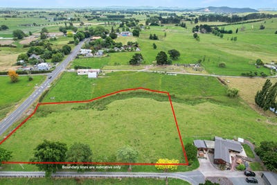 /international/nz/morrinsville-matamata-piako-380066081916/