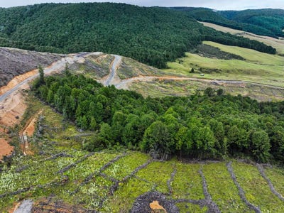 /international/nz/683-howard-valley-road-st-arnaud-tasman-380066078654/