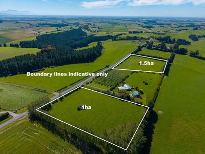 /international/nz/levels-timaru-380066078927/