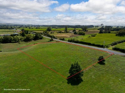 /international/nz/morrinsville-matamata-piako-380066079928/