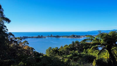 /international/nz/1833-takaka-collingwood-highway-parapara-tasman-380066114184/