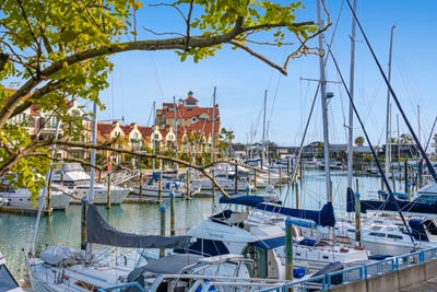 /international/nz/41-waterside-crescent-gulf-harbour-rodney-380066111329/