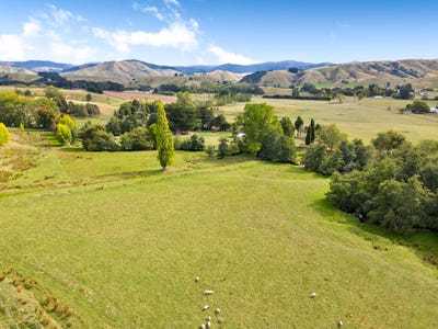 /international/nz/739-matahiwi-road-masterton-wairarapa-380066115763/