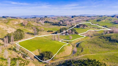 /international/nz/896-te-awa-road-waipukurau-and-surrounds-central-hawkes-bay-380066108208/