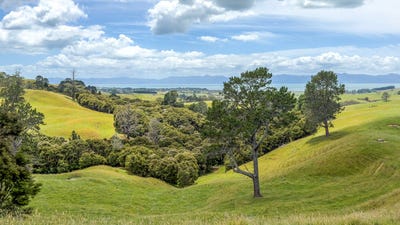 /international/nz/551-kaiaua-road-kaiaua-franklin-380066082087/
