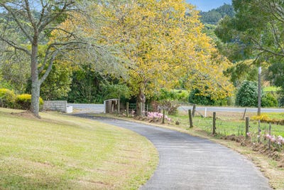 /international/nz/helensville-rodney-380066084340/