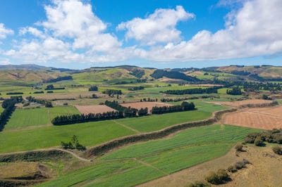 /international/nz/359-hurunui-mouth-road-domett-hurunui-380066079757/