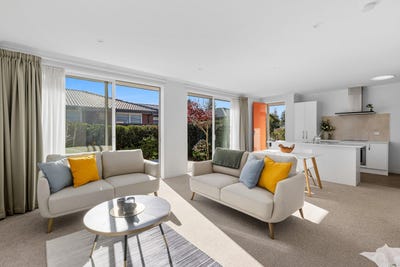 /international/nz/orewa-rodney-380066109830/