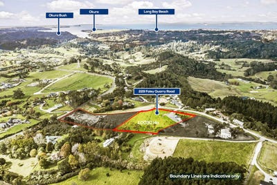 /international/nz/229-foley-quarry-road-dairy-flat-rodney-380066076898/