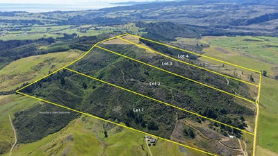 /international/nz/1419-collingwood-bainham-main-road-collingwood-tasman-380066087009/