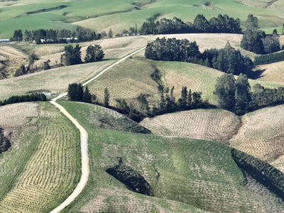 /international/nz/174-mcculloch-road-waitahuna-clutha-380066078974/