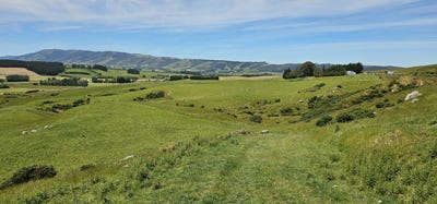 /international/nz/koi-flat-road-tapanui-clutha-380066076695/