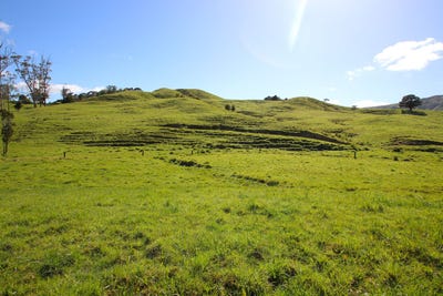 /international/nz/0-peria-valley-road-peria-far-north-380066085486/