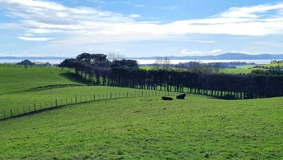 /international/nz/80-wilson-road-south-head-helensville-rodney-380066111523/