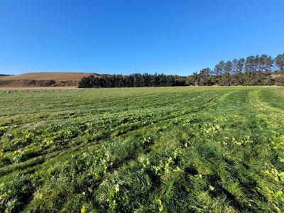 /international/nz/north-otago-surrounds-waitaki-380066178795/