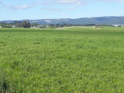 /international/nz/herbert-waitaki-380066076599/