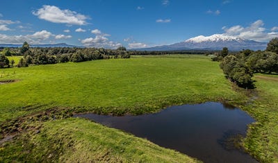 /international/nz/ohakune-ruapehu-380066097385/