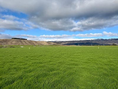 /international/nz/0-oliver-road-cromwell-central-otago-lakes-district-380066174799/