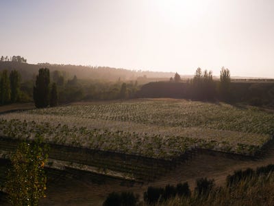 /international/nz/376-ram-paddock-road-waipara-hurunui-380066084291/
