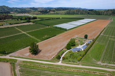 /international/nz/101-pitcher-road-te-karaka-gisborne-380066097245/