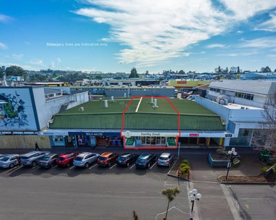 /international/nz/38-horomatangi-street-taupo-central-north-island-380066137519/