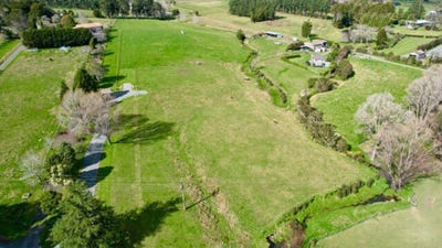 /international/nz/kauri-whangarei-380066119161/