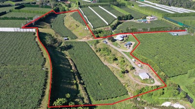 /international/nz/617-no-2-road-te-puke-western-bay-of-plenty-380066104435/