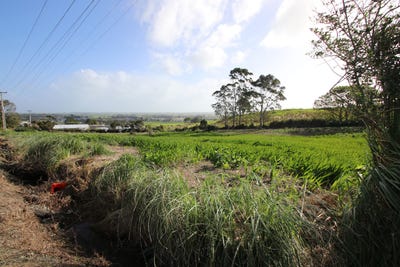 /international/nz/0-donald-road-kaitaia-far-north-380066112065/