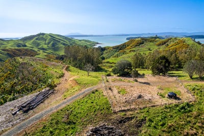/international/nz/kawhia-otorohanga-380066083735/
