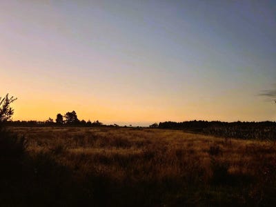 /international/nz/86-newcastle-street-waimangaroa-buller-380066088676/