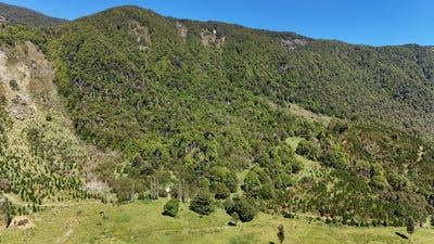 /international/nz/tutaki-road-south-murchison-tasman-380066086480/