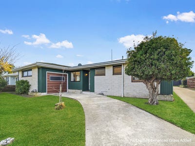 /international/nz/tamatea-napier-city-380066169131/