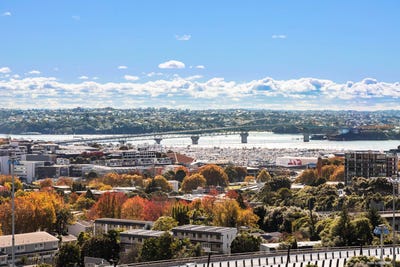 /international/nz/auckland-central-auckland-city-380066091412/