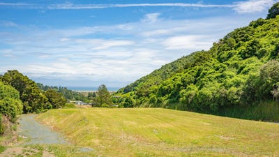 /international/nz/60-saddleback-road-atawhai-nelson-bays-380066120909/