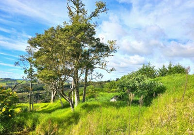/international/nz/opononi-far-north-380066174774/