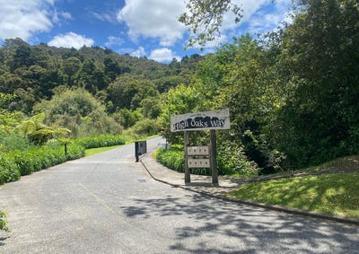 /international/nz/7-high-oaks-way-avenues-whangarei-380066115456/