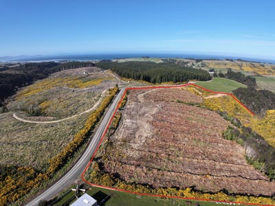 /international/nz/taieri-mouth-clutha-380066076835/