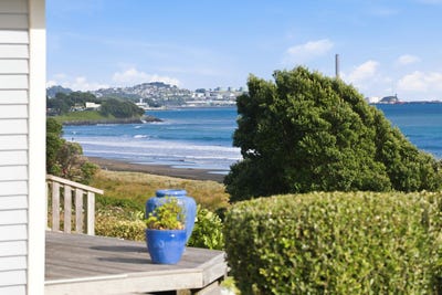 /international/nz/fitzroy-hamilton-city-380066107104/