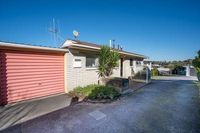 /international/nz/dinsdale-hamilton-city-380066113345/