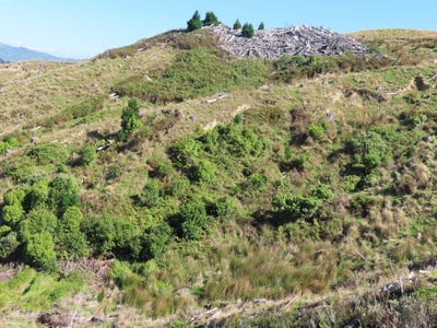/international/nz/210-mangamaire-road-dannevirke-tararua-380066076051/