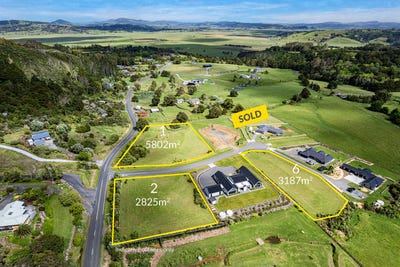 /international/nz/kauri-whangarei-380066093969/
