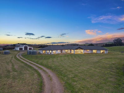 /international/nz/morrison-road-pukekawa-franklin-380066092868/