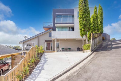 /international/nz/whitiora-hamilton-city-380066105221/